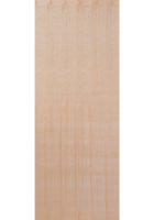 Plywood Flush Internal Door