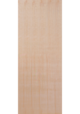 Plywood Flush FD30 Fire Door